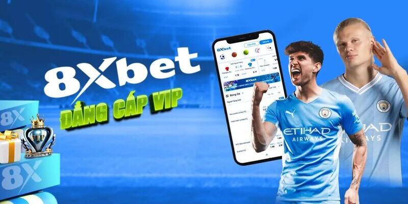 nhà cái cá cược 8xbet