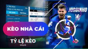 Giải Mã Tỷ Lệ Nhà Cái Trong Cá Cược tại 8XBET