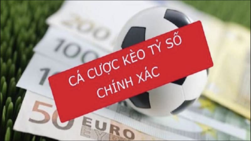 Cách Theo Dõi Biến Động Tỷ Lệ Kèo X8Bet