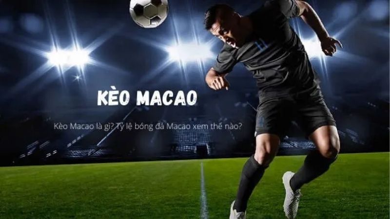 Kèo Ma Cao | Cao Thấp Bất Thường Hay Chiêu Dụ Nhà Cái
